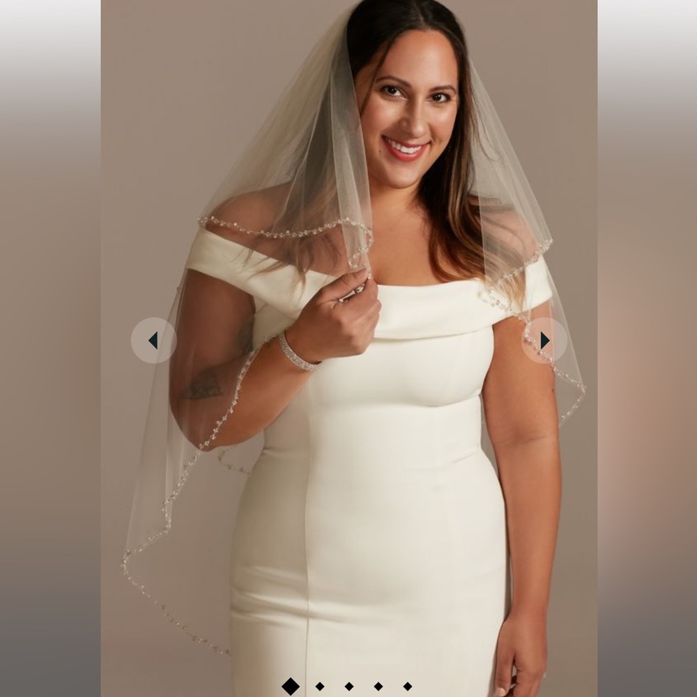 David’s Bridal 2 Tier Beaded Veil in Champagne